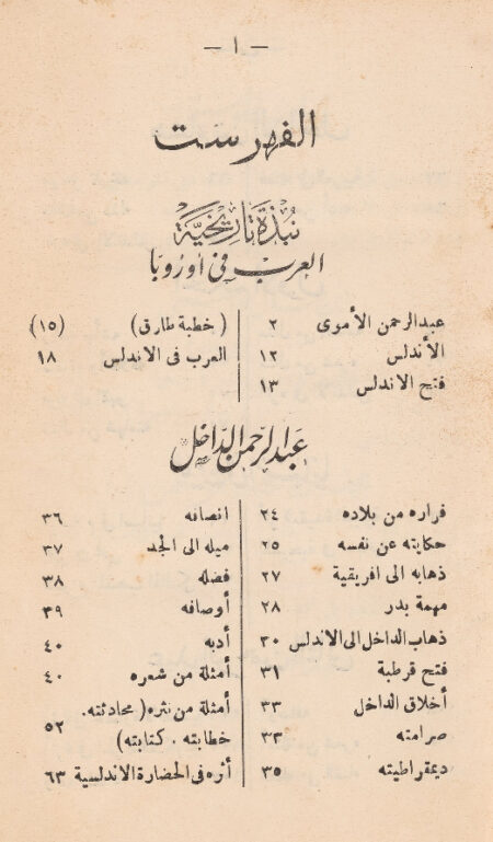 نظرات في تاريخ الأدب الأندلسي