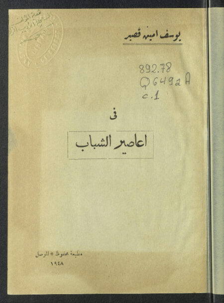 في أعاصير الشباب