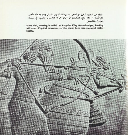 العراق في صور
