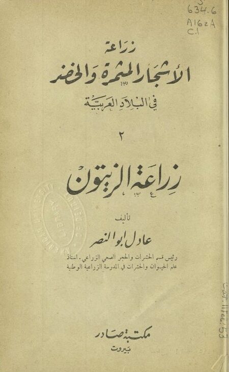 زراعة الزيتون