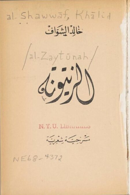 الزيتونة