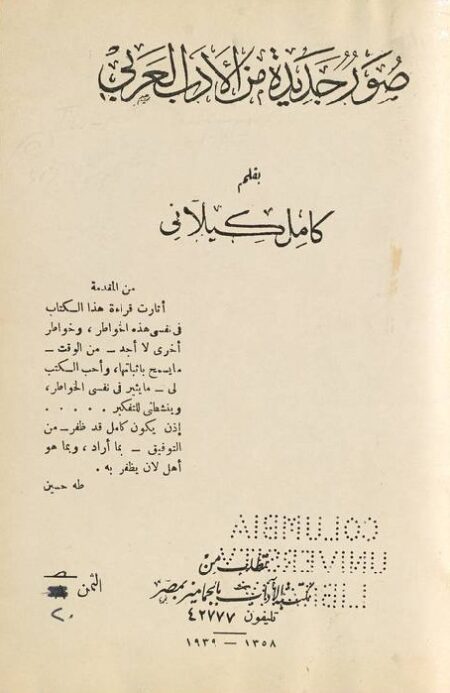 صور جديدة من الأدب العربي