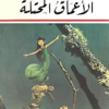 الأعماق المحتلة