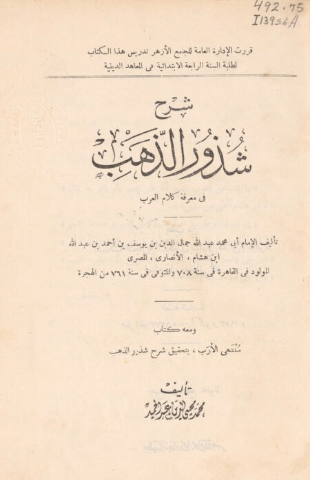 شرح شذور الذهب في معرفة كلام العرب